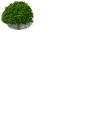 大きいサイズの木 !$bigt2.png