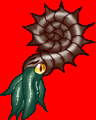 アンモナイト アンモナイト2000.png
