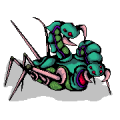 虫系ドット絵_vol.2[サイドビュー用エネミー] MNSM_SV_Insect_005.png