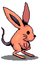 ラビッター / rabbitter