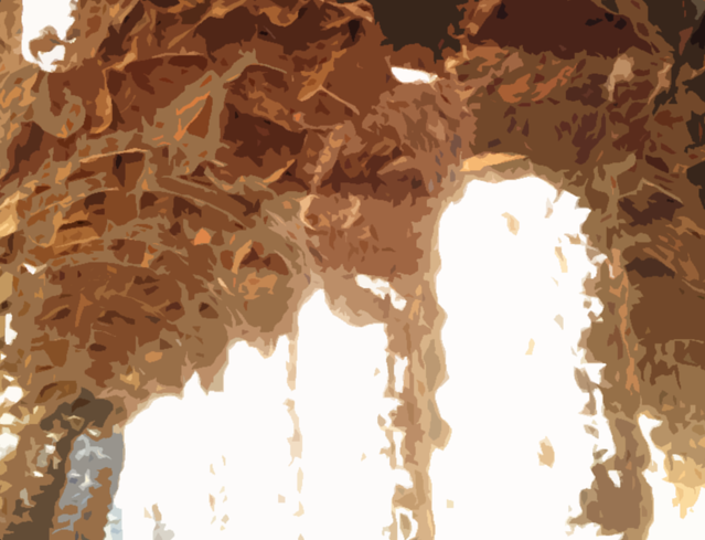 背景画像 近くの洞窟.png