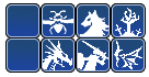 虫系 獣系 悪魔系 ゾンビ系 竜系 人間系 メタル系 エレメント系のアイコン trial1.png