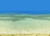 海の戦闘背景※タグ変更あり Oceanbattle4.png
